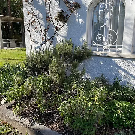 Aurora By Fewotessin Minusio