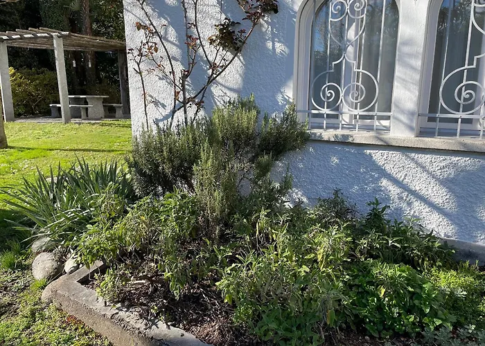 Aurora By Fewotessin Minusio